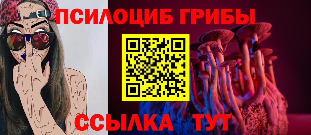 что такое   Псилоцибиновые грибы Magic Shrooms  Корсаков  Вход с VPN  Галлюциногенные грибы мухоморы 